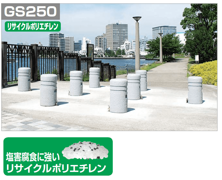 四国化成　レコポールGS250画像